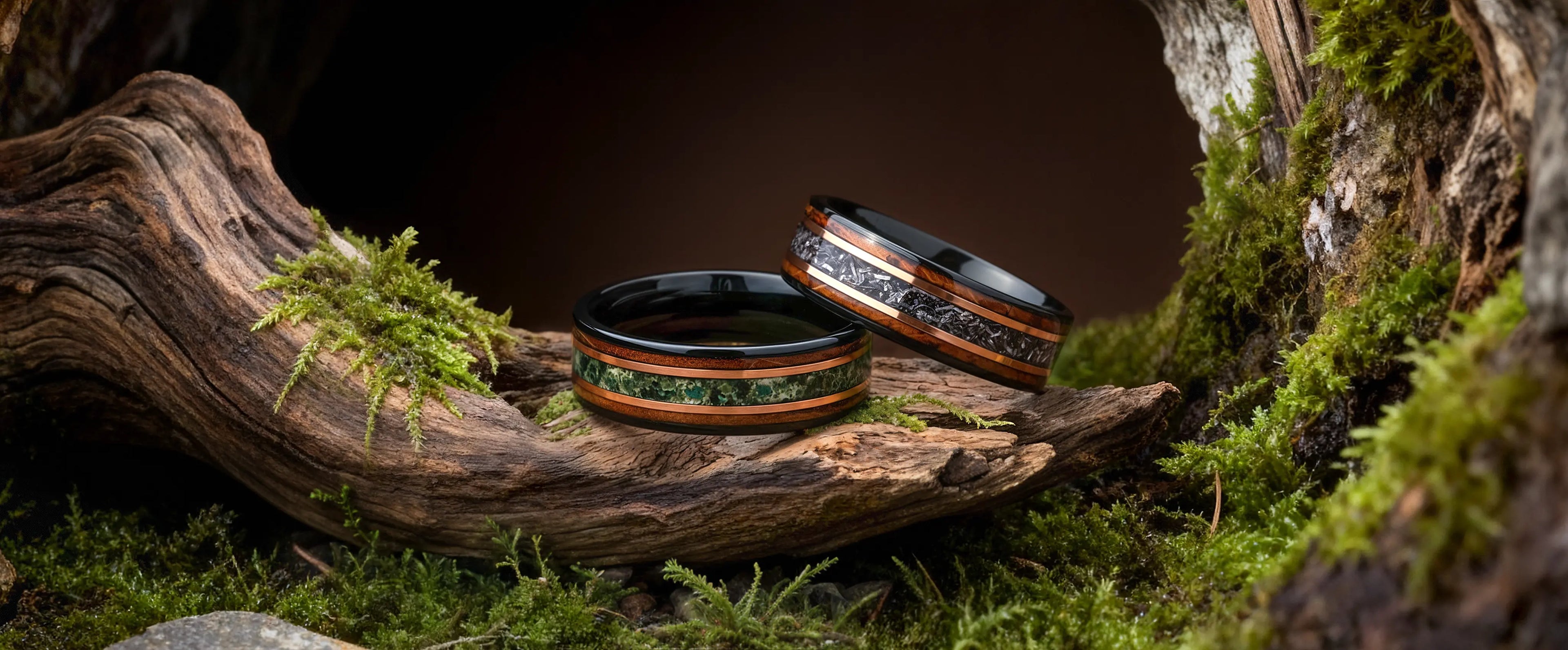 Terra-Michiki Japanese Melody