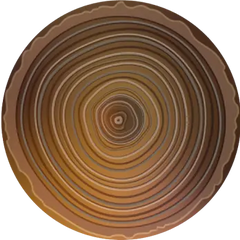 Wood circles